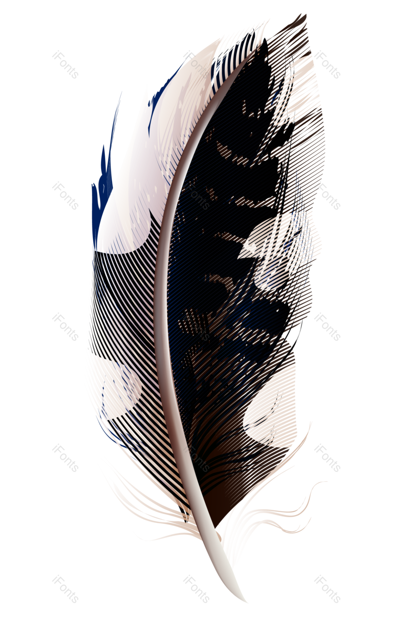 渐变图片,动物元素,羽毛PNG,免抠素材